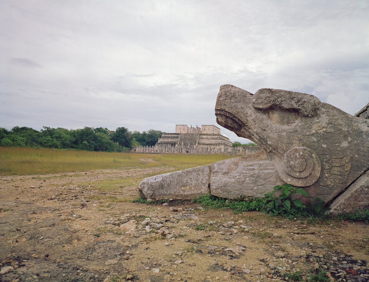 A harcosok temploma és a kígyó oszlopa alkotó: Mayan