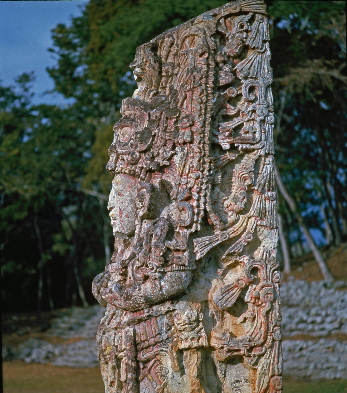 Stele H, Ceremóniák Plázája, i.sz. 731 alkotó: Mayan