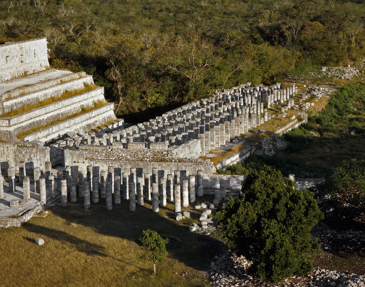 1000 oszlopos templom alkotó: Mayan Mayan