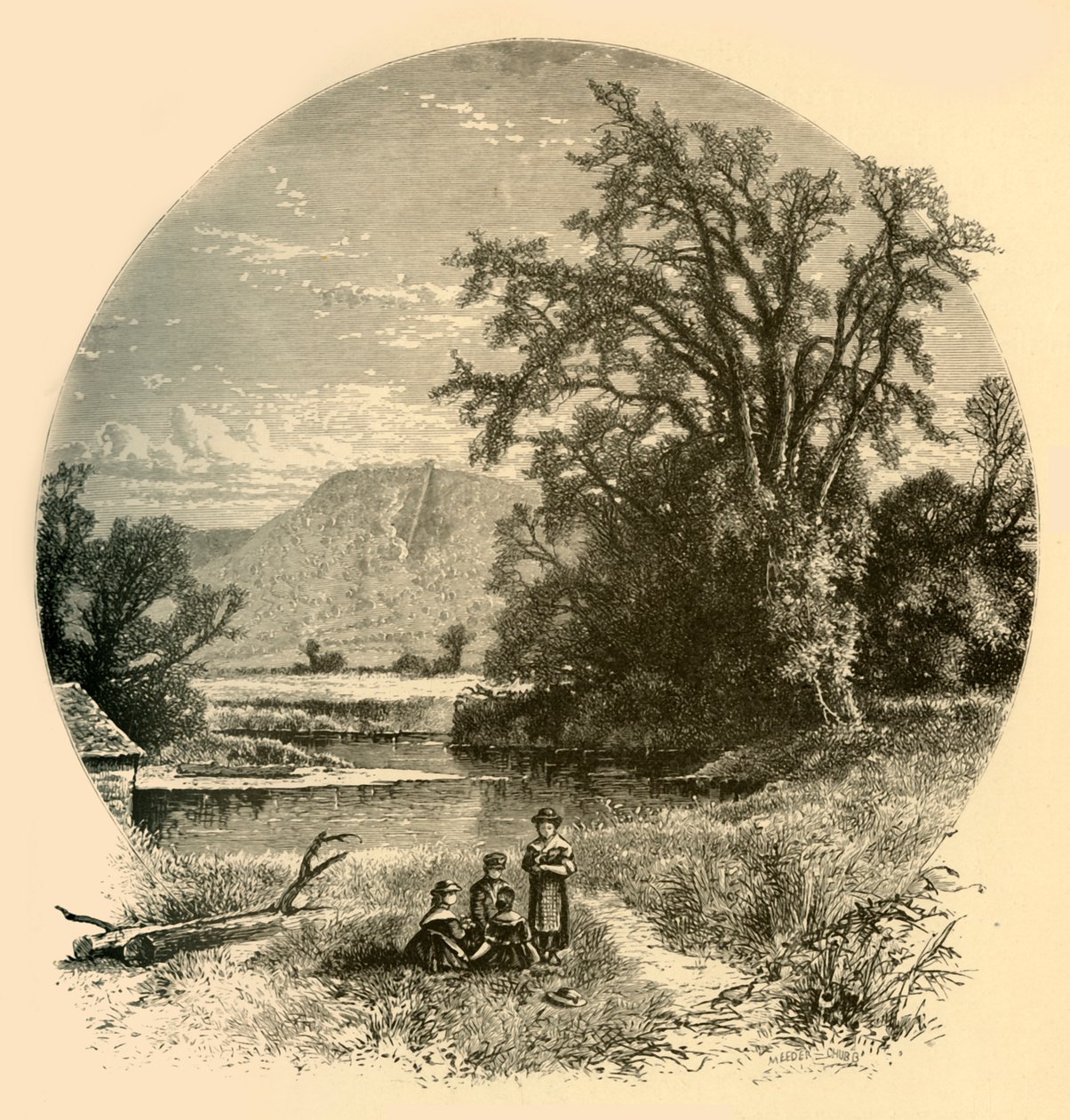 Northampton Meadows, 1874. alkotó: Meeder and Chubb