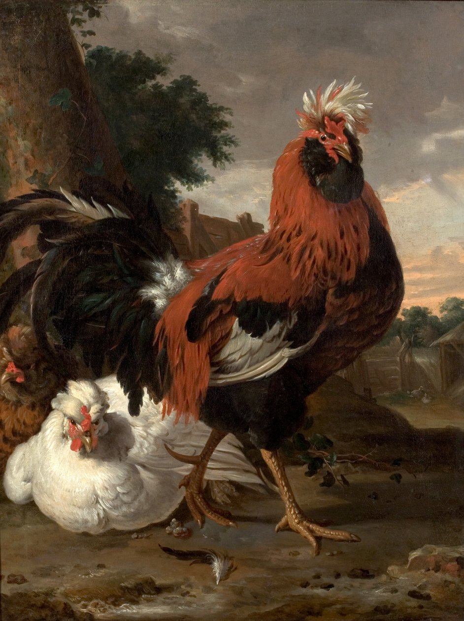 Szárnyas alkotó: Melchior de Hondecoeter