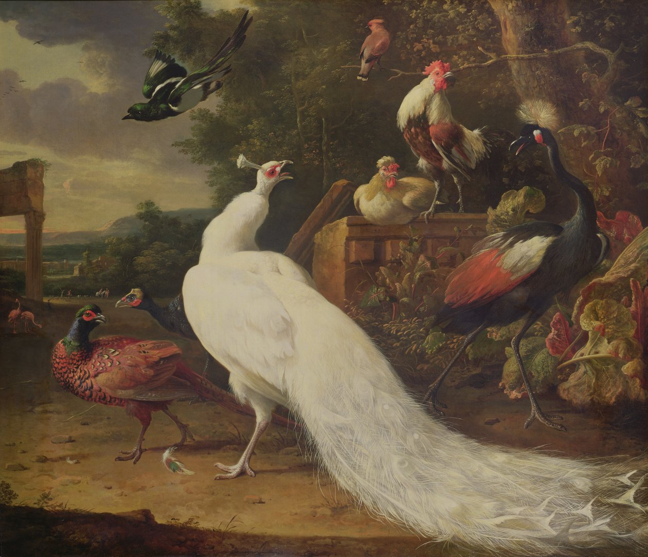 A fehér páva alkotó: Melchior de Hondecoeter