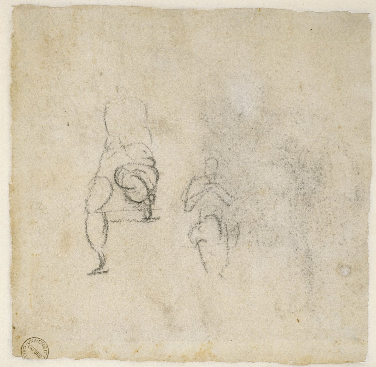 Ábratanulmányok, 1511 körül (fekete kréta papíron) alkotó: Michelangelo Buonarroti