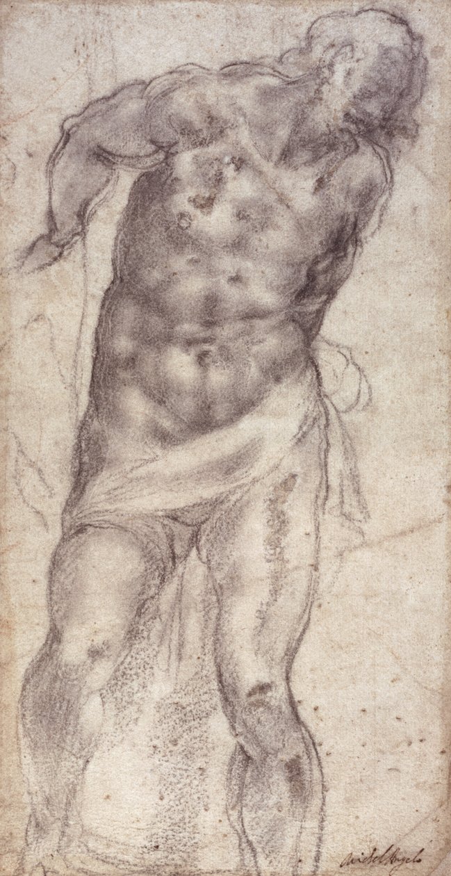 ábra Tanulmány alkotó: Michelangelo Buonarroti