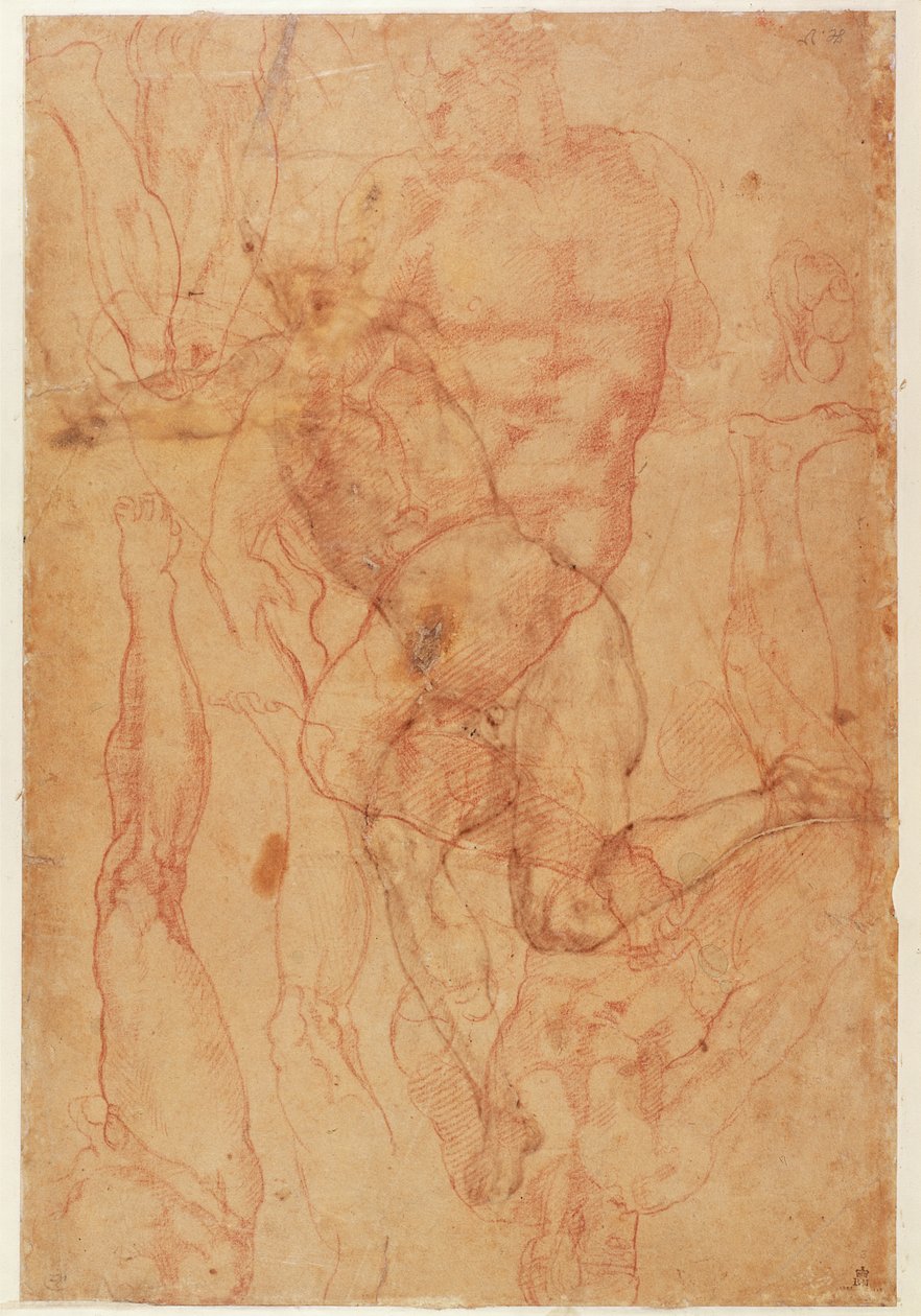 Ábratanulmány (piros kréta papíron) alkotó: Michelangelo Buonarroti