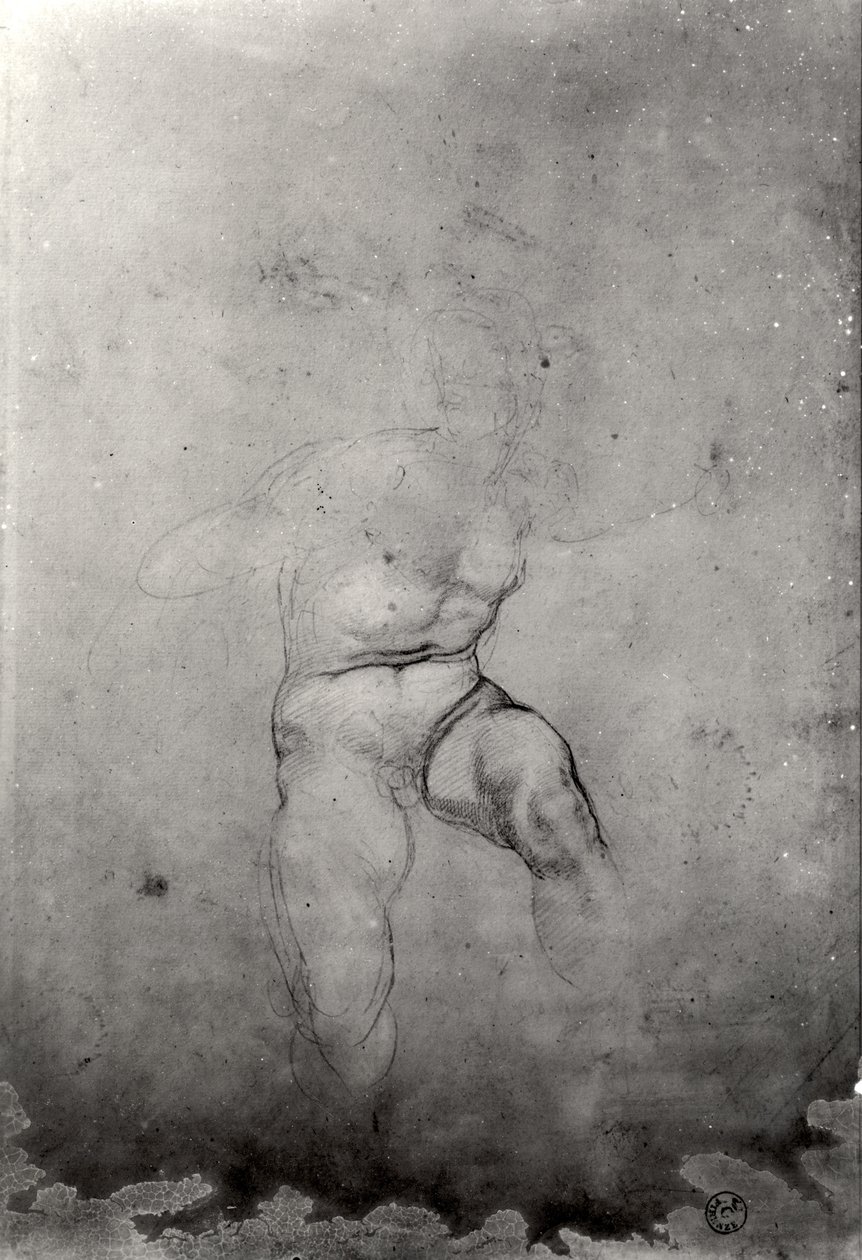 Férfi akt alkotó: Michelangelo Buonarroti