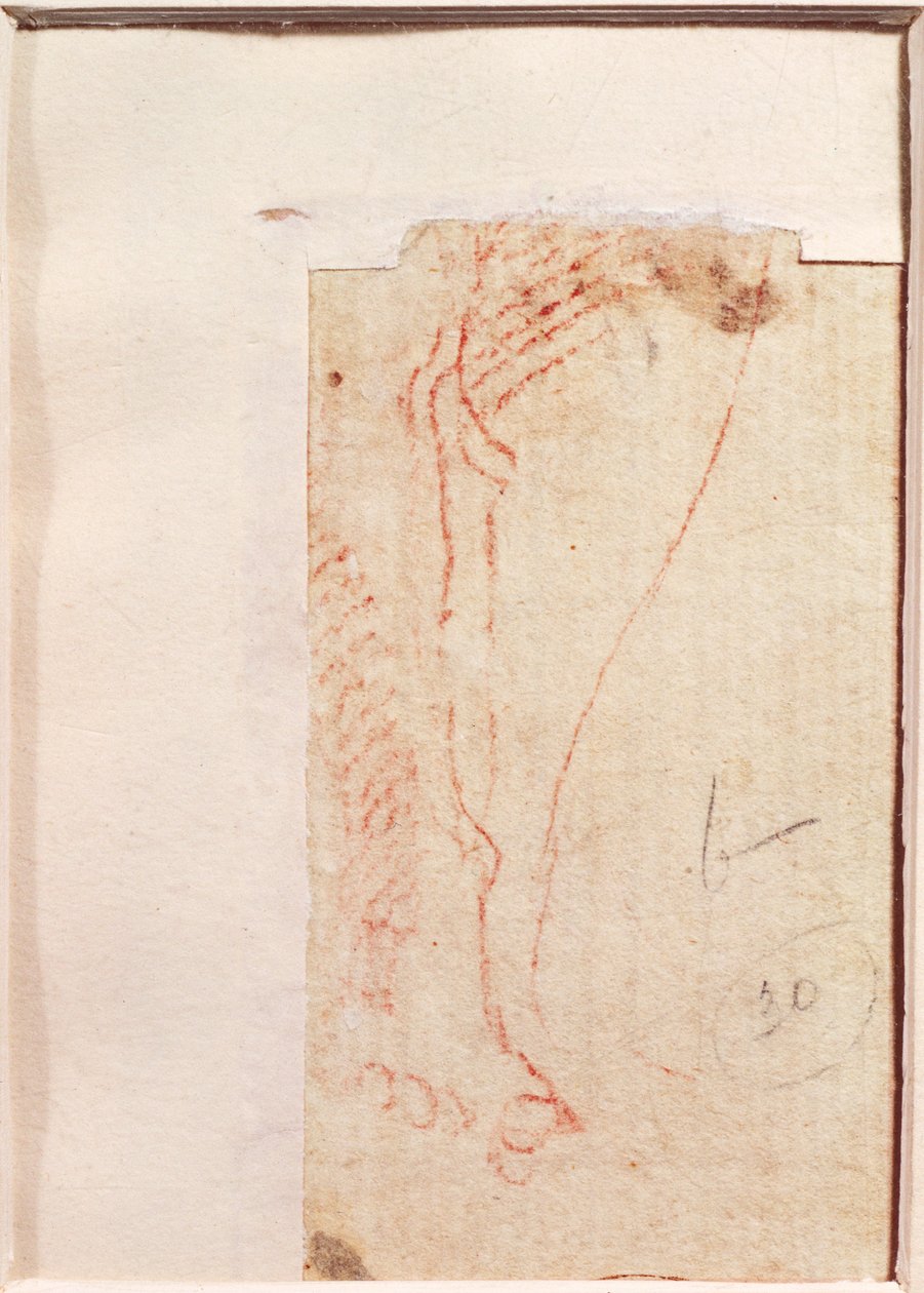 Krisztus keresztre szegezett lábának tanulmányozása (piros kréta papíron) (verso) alkotó: Michelangelo Buonarroti