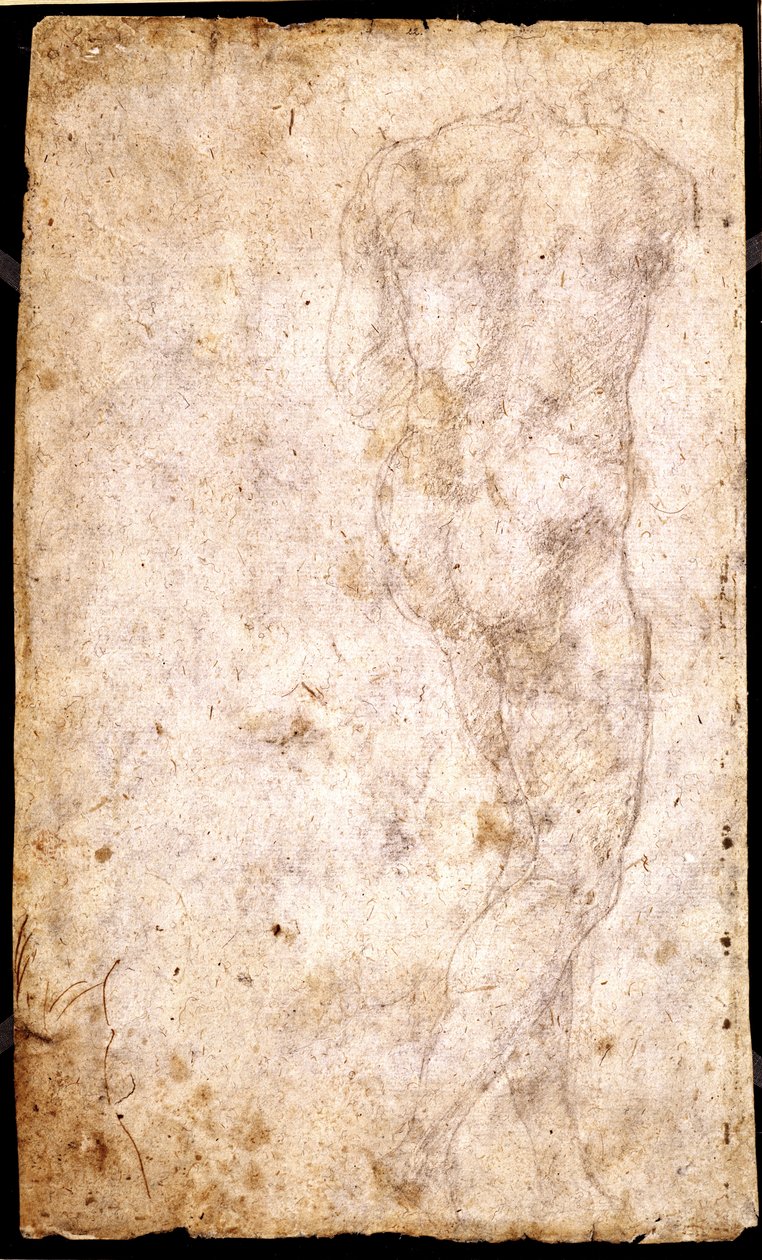 Egy férfi akt tanulmányozása alkotó: Michelangelo Buonarroti