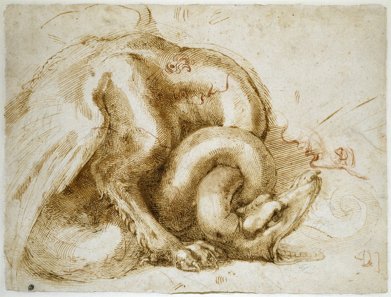 Szárnyas szörny tanulmánya, 1525 körül (vörös és fekete kréta, papír) alkotó: Michelangelo Buonarroti