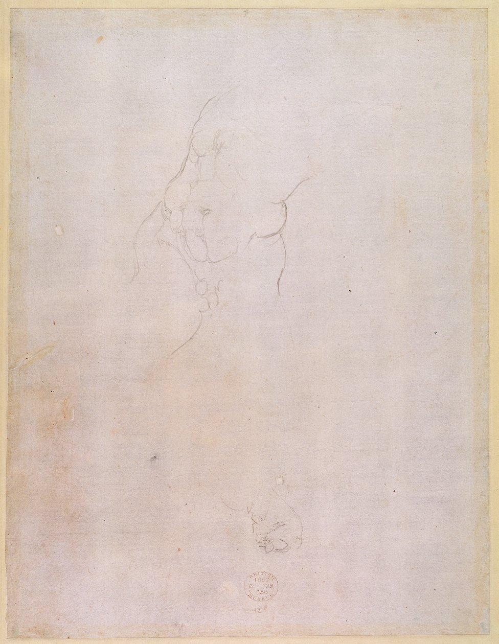 Férfi törzs vizsgálata (verso) (rekto lásd: 192512) alkotó: Michelangelo Buonarroti