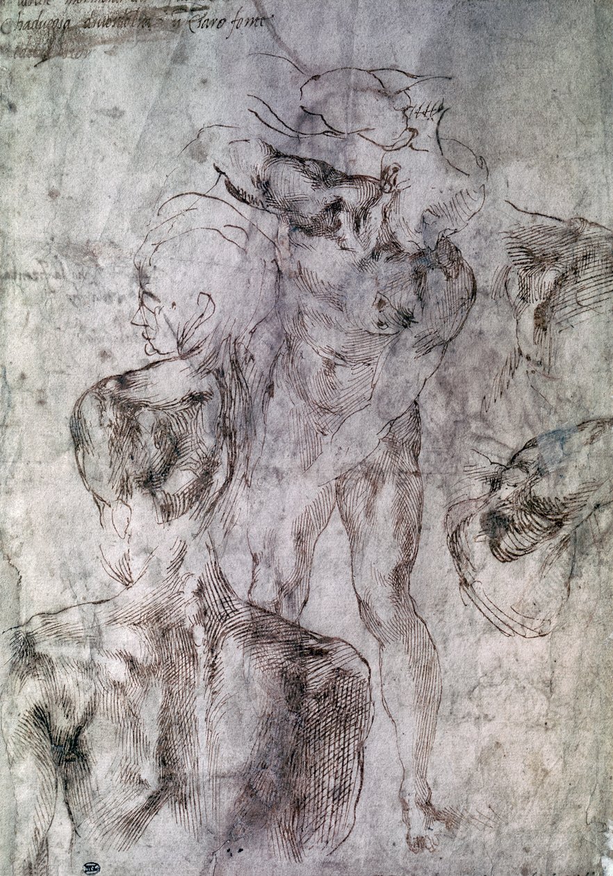 Különféle tanulmányok, a Study for David verso alkotó: Michelangelo Buonarroti