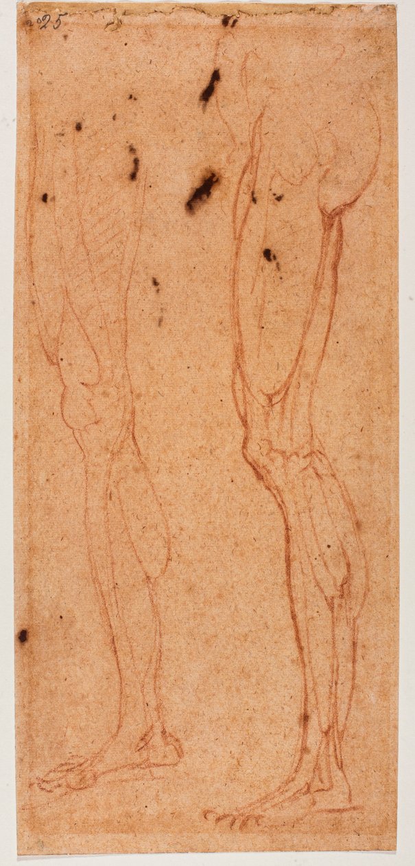 Lábvizsgálat alkotó: Michelangelo (after) Buonarroti