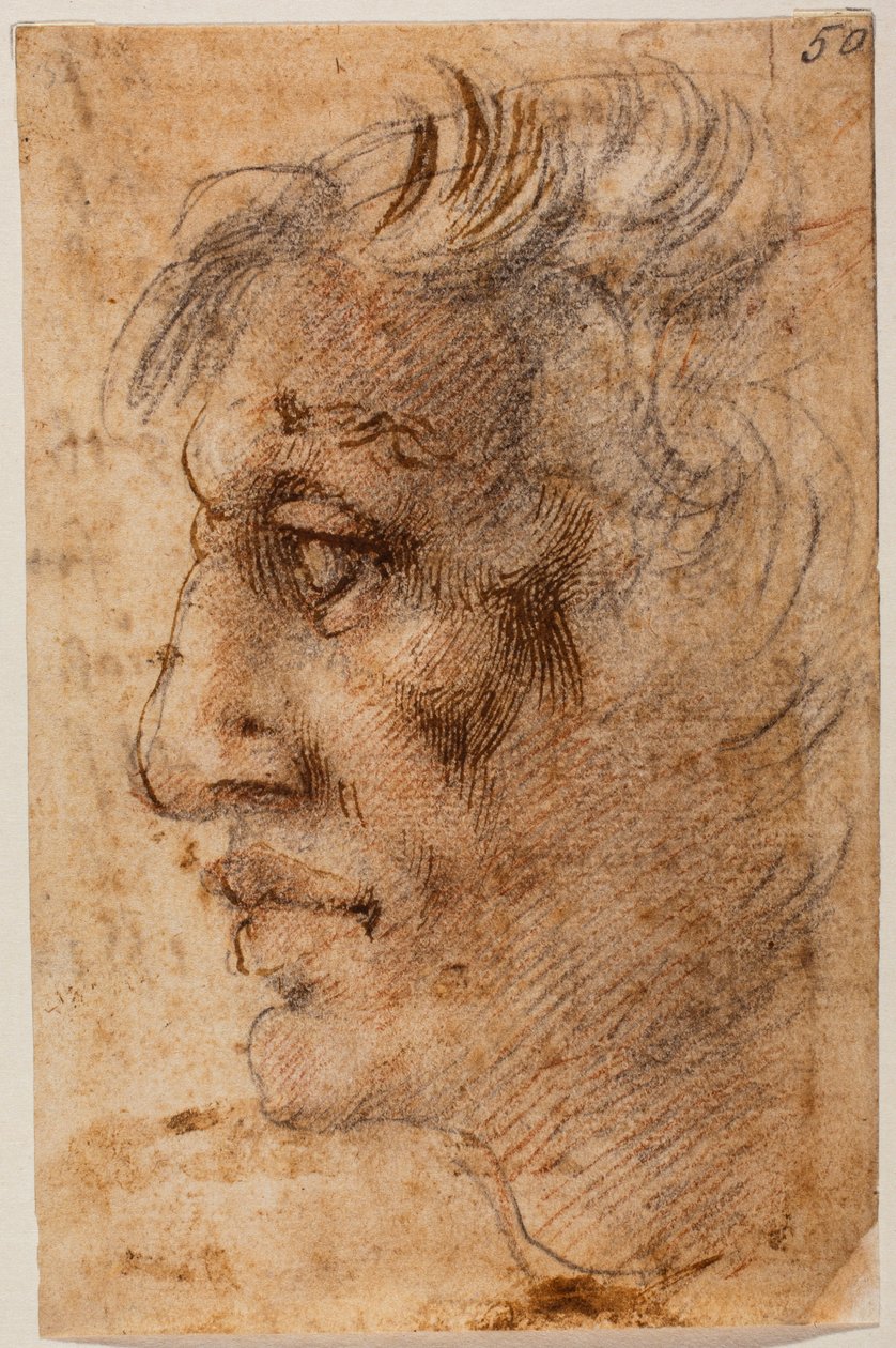 Férfi fej profilban alkotó: Michelangelo (after) Buonarroti