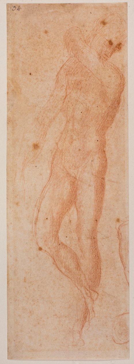Tanulmányok a férfiaktról alkotó: Michelangelo (after) Buonarroti