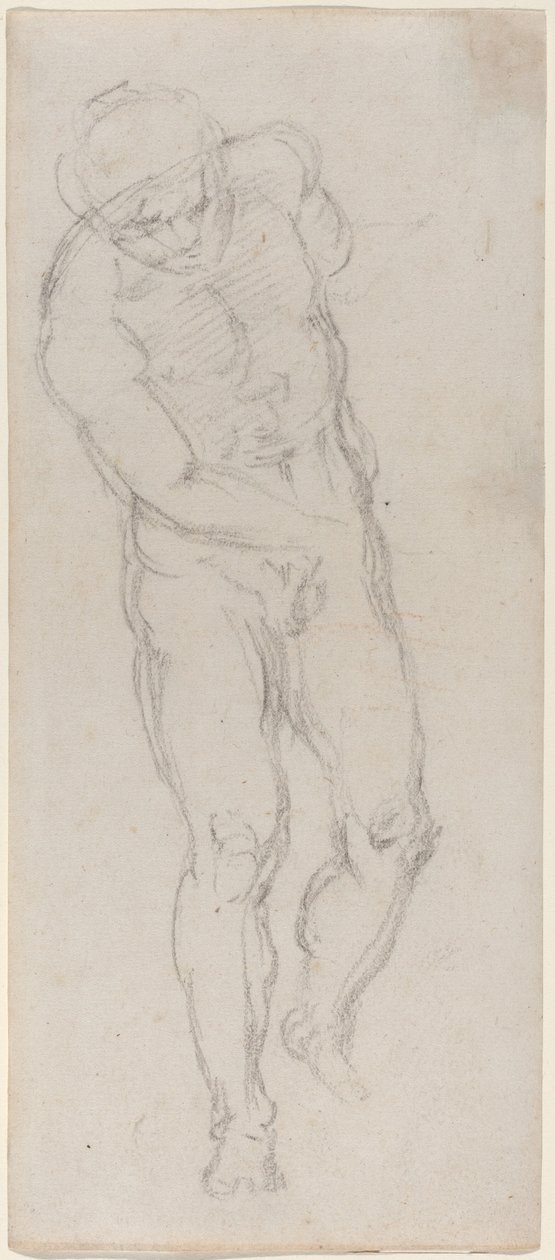 Férfi akt [recto] alkotó: Michelangelo