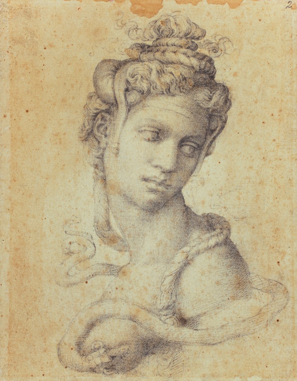 Kleopátra alkotó: Michelangelo Buonarroti