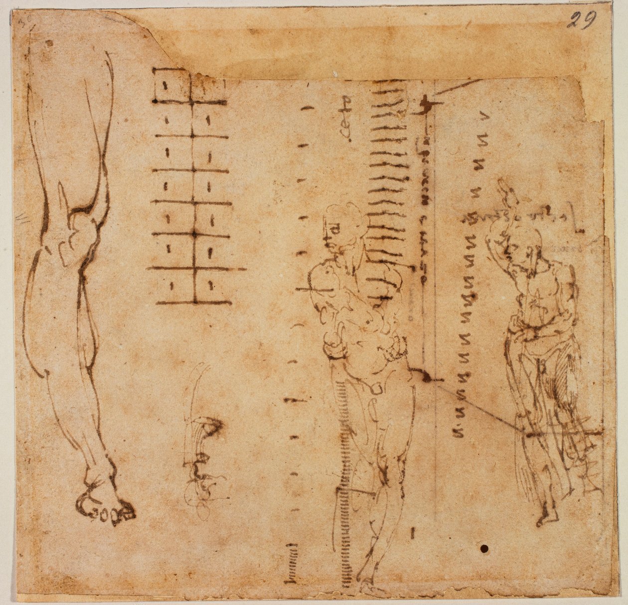 Ábra tanulmányok alkotó: Michelangelo Buonarroti