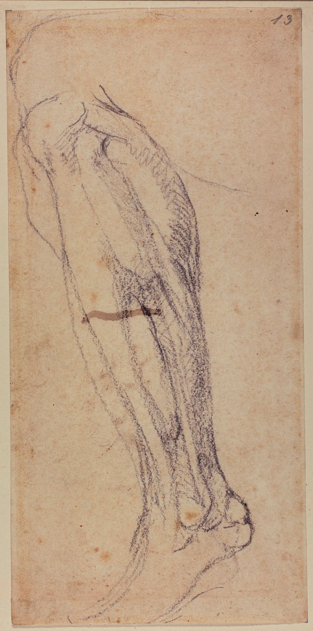 Lábtanulmány alkotó: Michelangelo Buonarroti