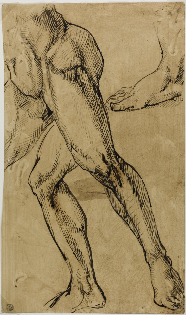Lábak és lábak férfi akt alkotó: Michelangelo Buonarroti