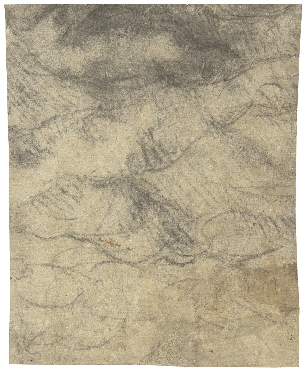 Férfi meztelen alkotó: Michelangelo Buonarroti