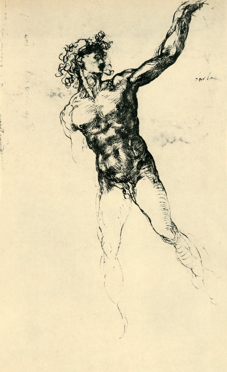 Férfi akt, 1503-1504, 1943. alkotó: Michelangelo Buonarroti