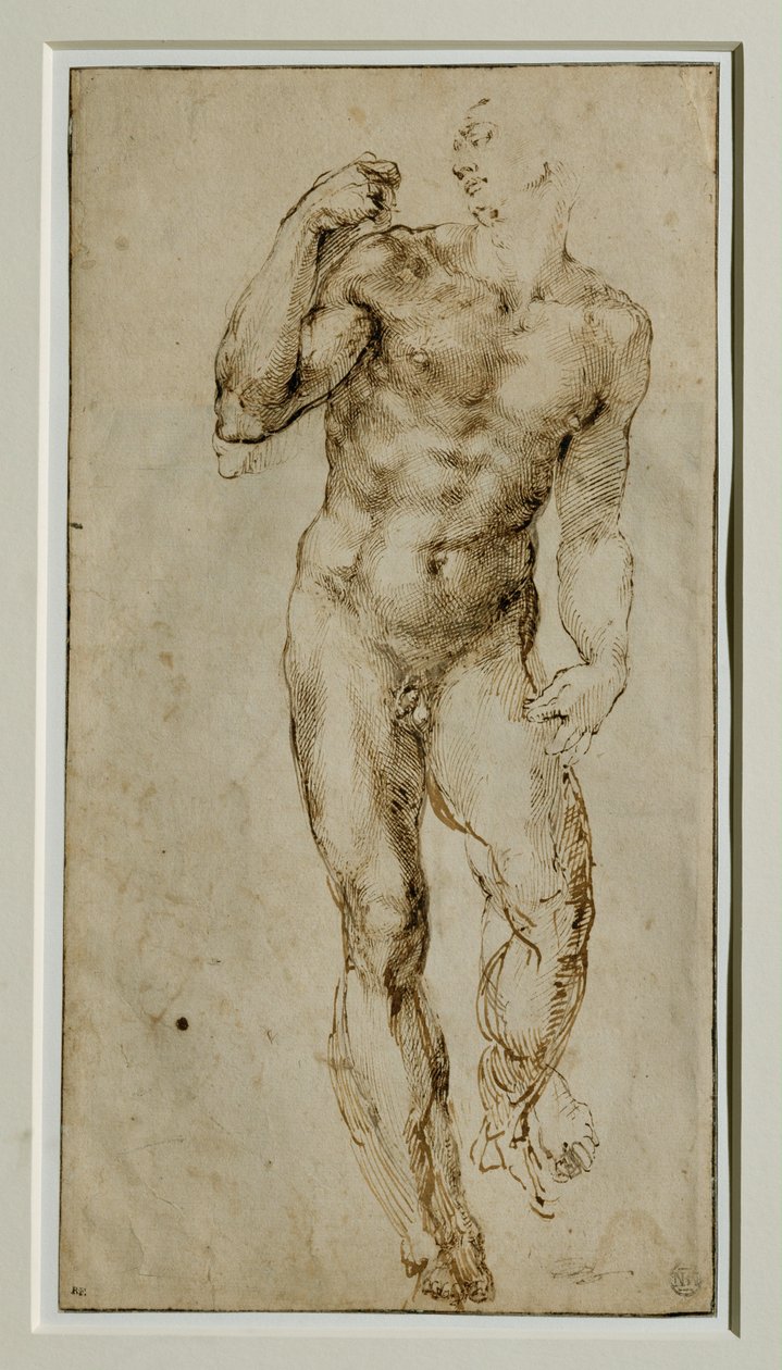 Férfi akt, elölnézet, 1502-1506 körül ... alkotó: Michelangelo Buonarroti