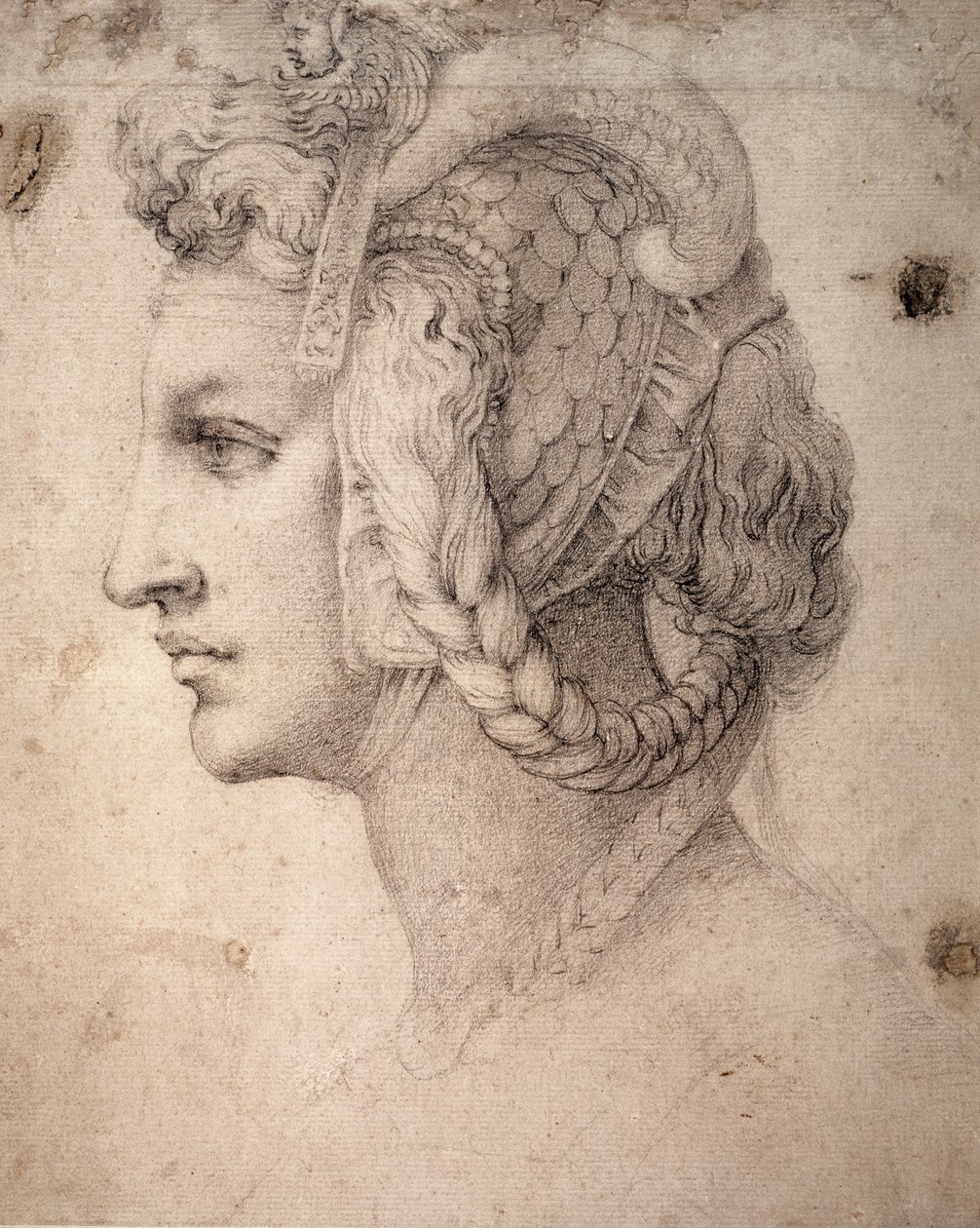 Fej tanulmányozása alkotó: Michelangelo Buonarroti