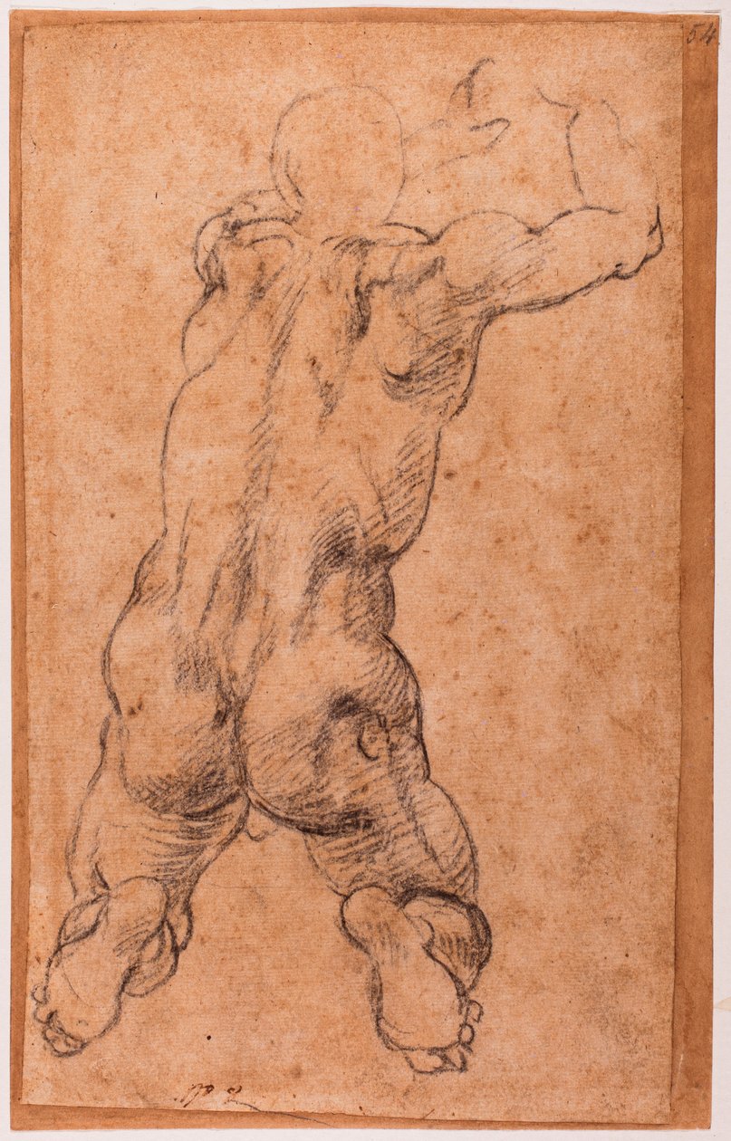Térdelő férfiakt tanulmányozása alkotó: Michelangelo Buonarroti