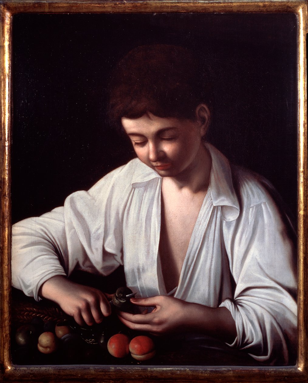 Egy fiú gyümölcsöt pucol alkotó: Michelangelo Merisi da Caravaggio