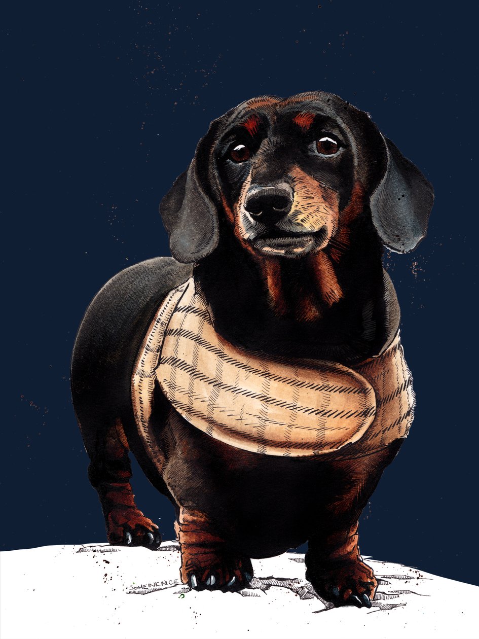 Arthur The Dachshund on Midnight Blue, 2020   1421645   hu       hungarian Successfully Translated  Original: Bullfights: A Horse Thrown by the Bull Translat: Bullfights: A Horse Thrown by the Bull 1275016 hu hungarian Successfully Translated Original: Por alkotó: Mike Davis