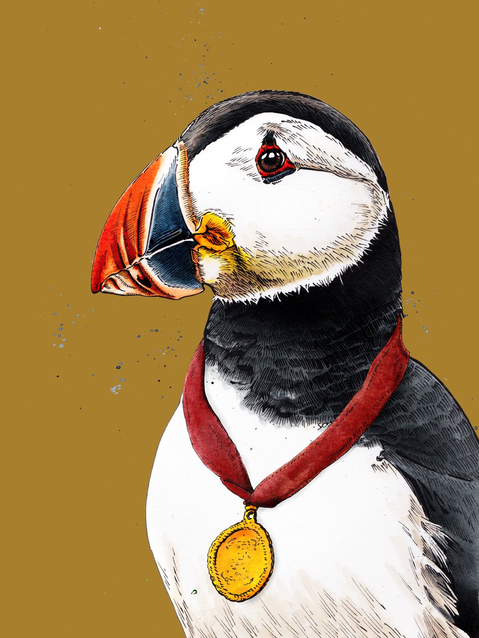 Gratulálunk Puffinnak a 2020-as Golden Yellow-hoz alkotó: Mike Davis