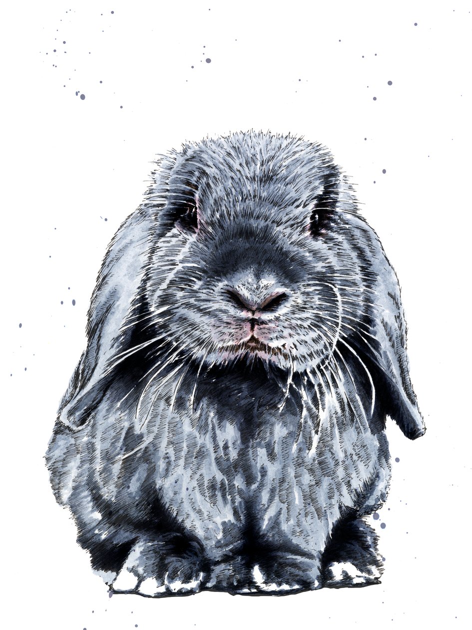Gray One The Bunny on White, 2019 alkotó: Mike Davis