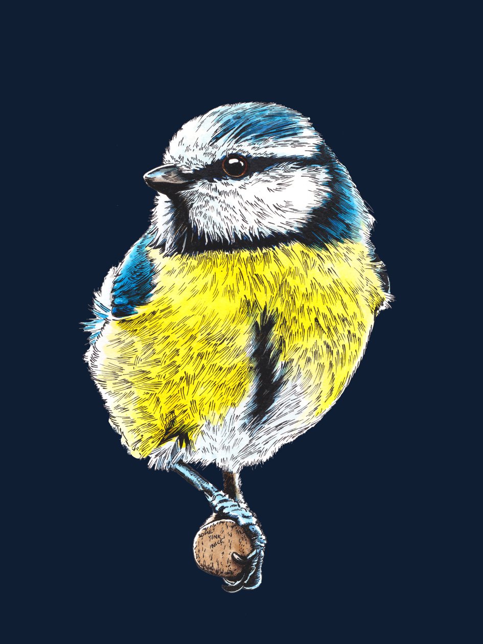 The Blue Tit on Midnight Blue, 2022 alkotó: Mike Davis