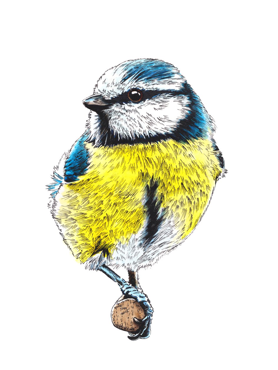The Blue Tit on White, 2022   1421642   hu       hungarian Successfully Translated  Original: The Rose Garden, Rosneath House (colour litho) Translat: The Rose Garden, Rosneath House (colour litho) 1402924 hu hungarian Successfully Translated Original: The alkotó: Mike Davis