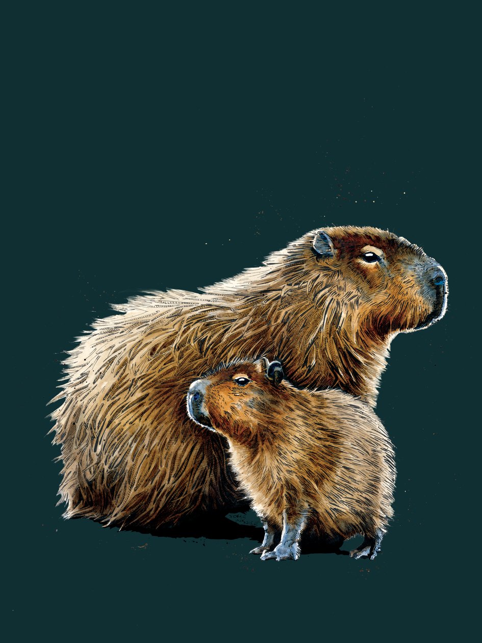 The Capybaras on Deep Cyan, 2020 alkotó: Mike Davis