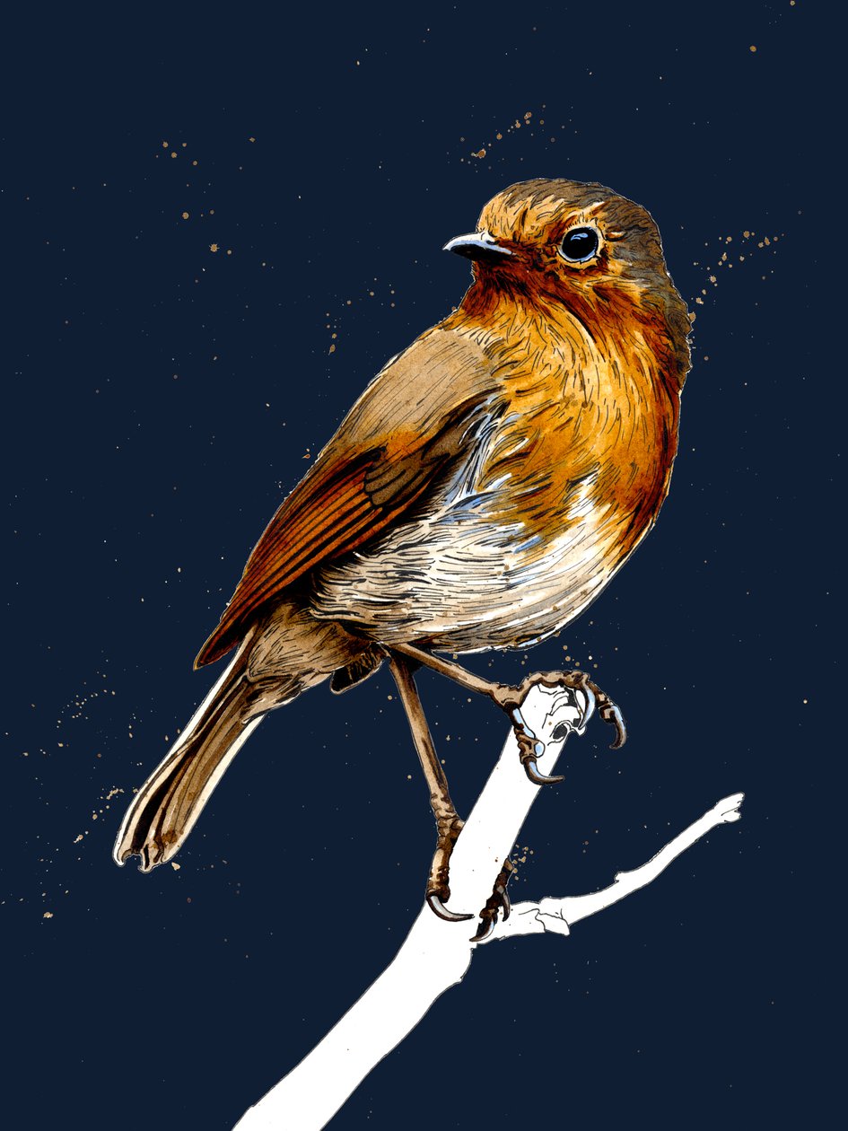 The Robin on Midnight Blue, 2020 alkotó: Mike Davis
