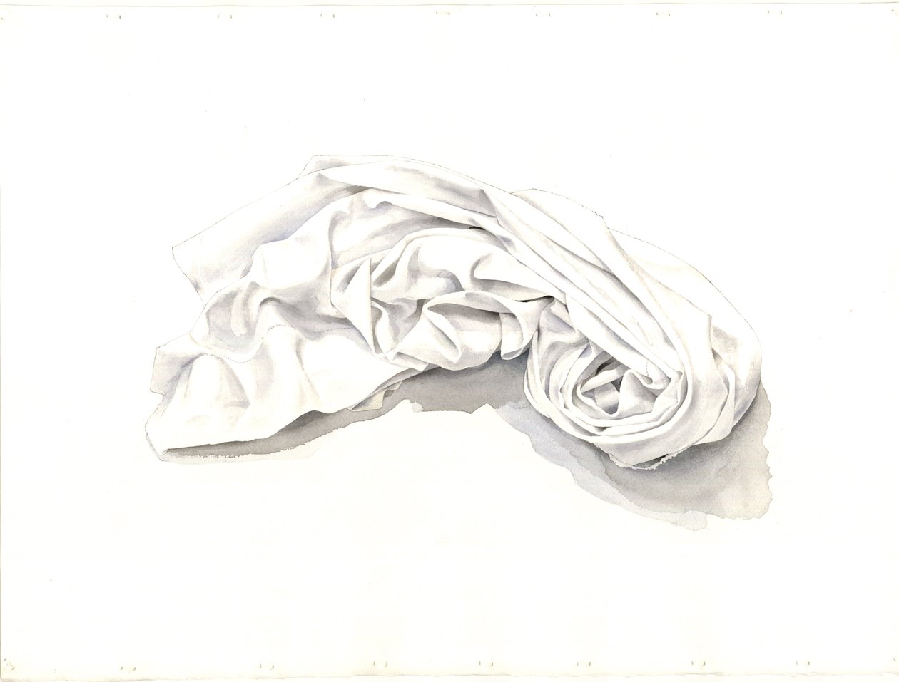 Összegömbölyödött lap, 2004 (wc papíron) alkotó: Miles Contemporary Artist Thistlethwaite