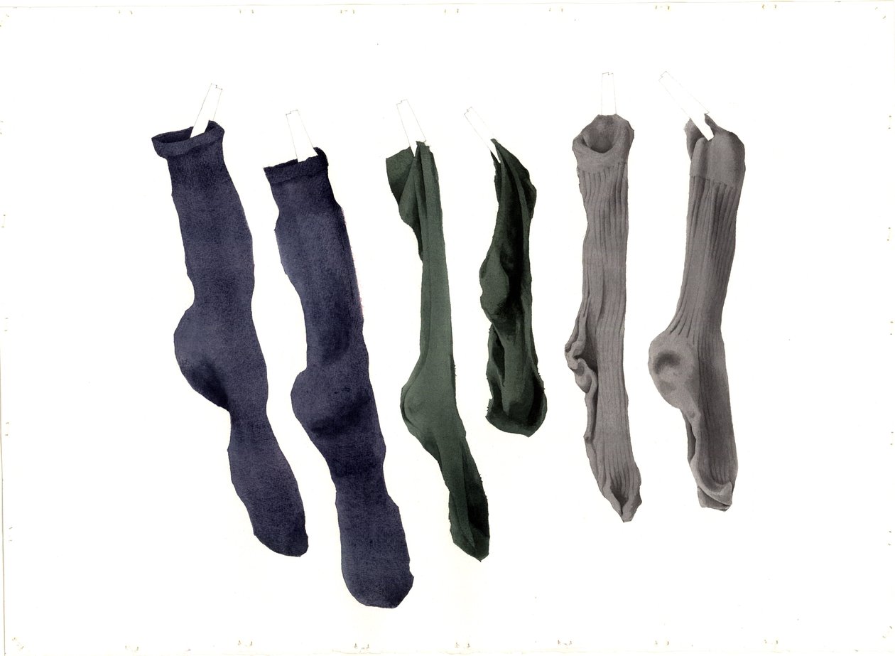 Six Socks, 2003 (wc papíron) alkotó: Miles Contemporary Artist Thistlethwaite