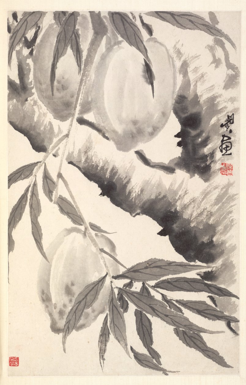 Őszibarack, 1788. alkotó: Min Zhen