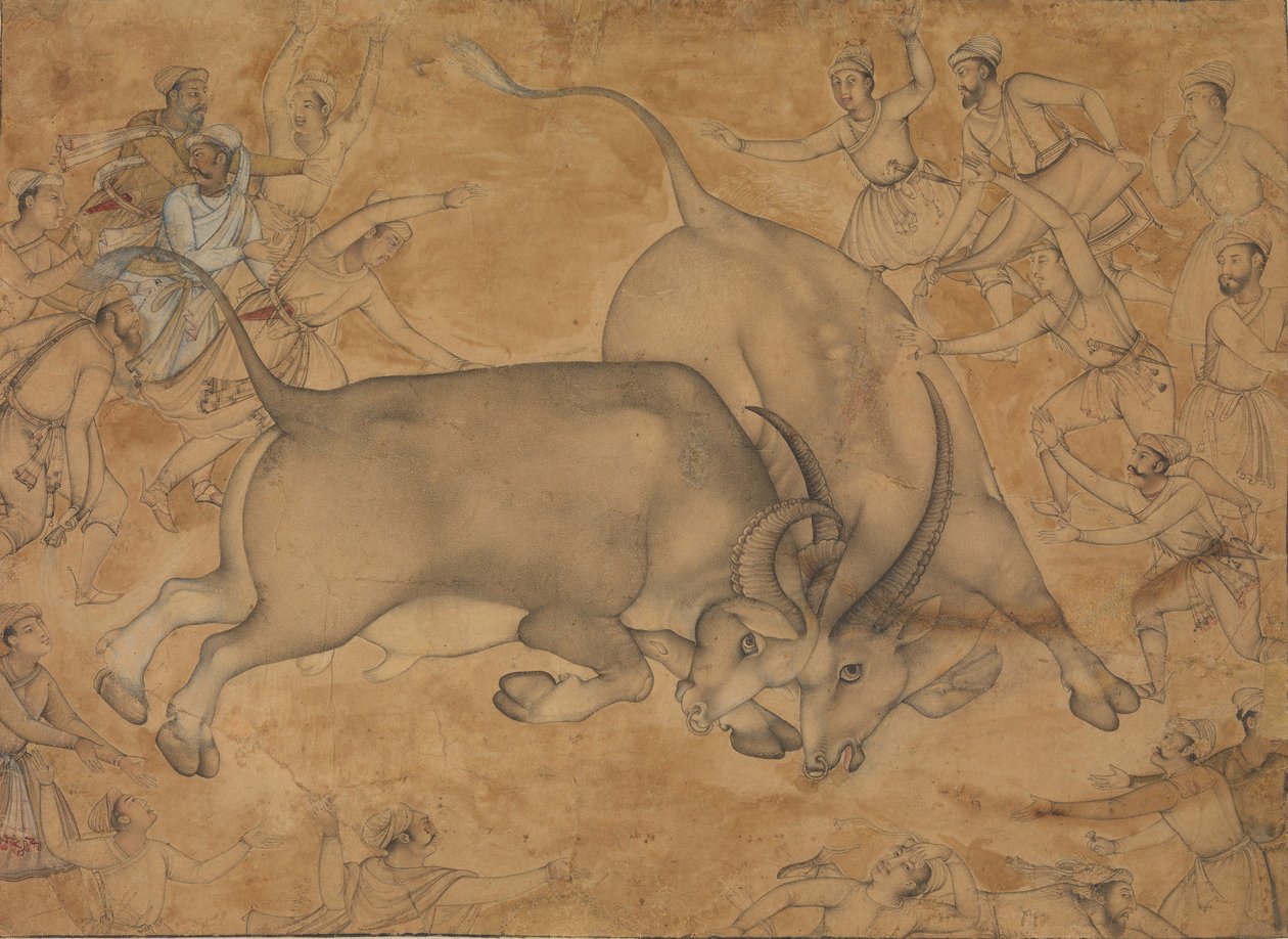 Buffaloes in Combat, 16. század vége. alkotó: Miskin.