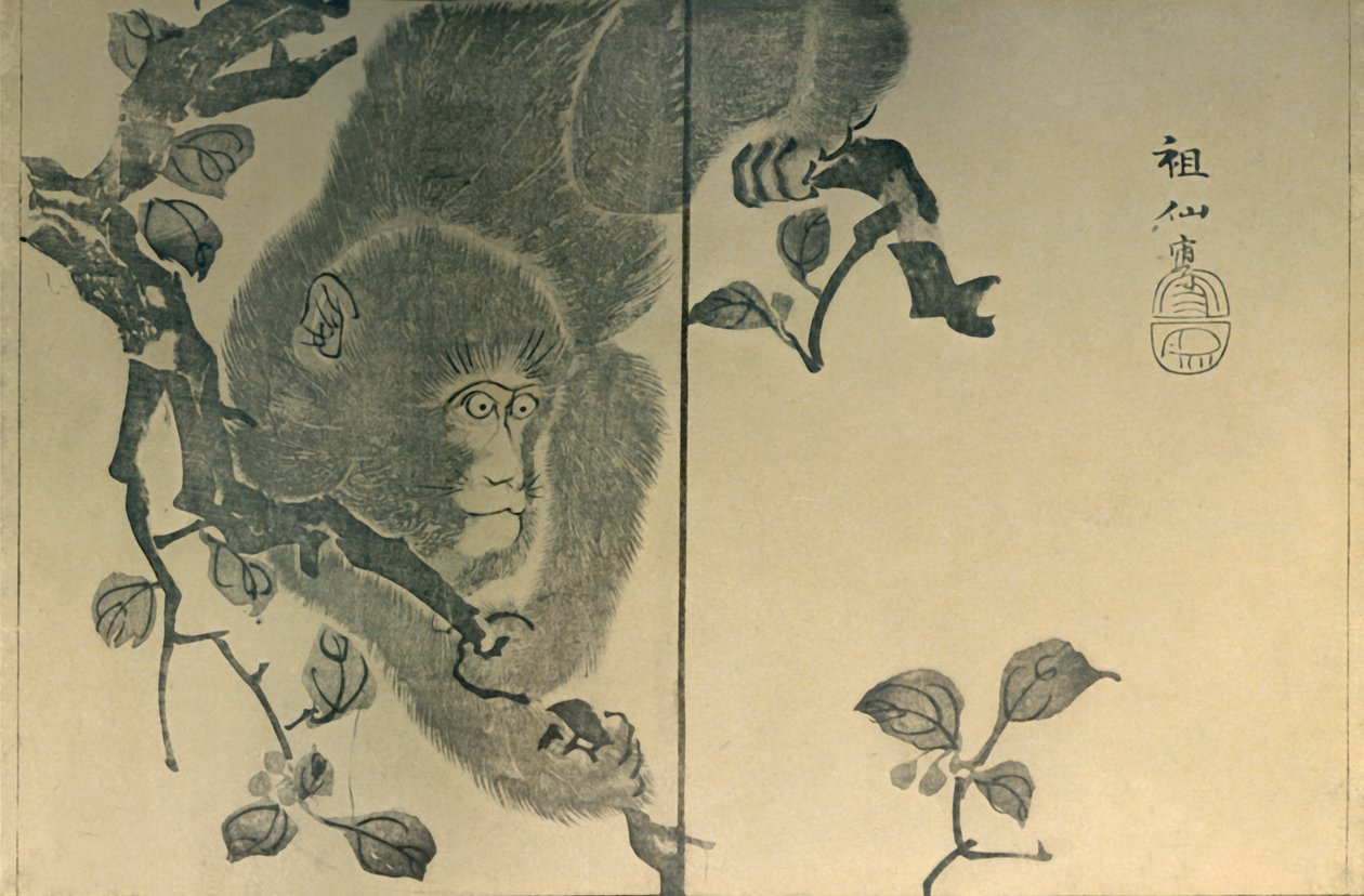 Majom, 1815, 1924. alkotó: Mori Sosen