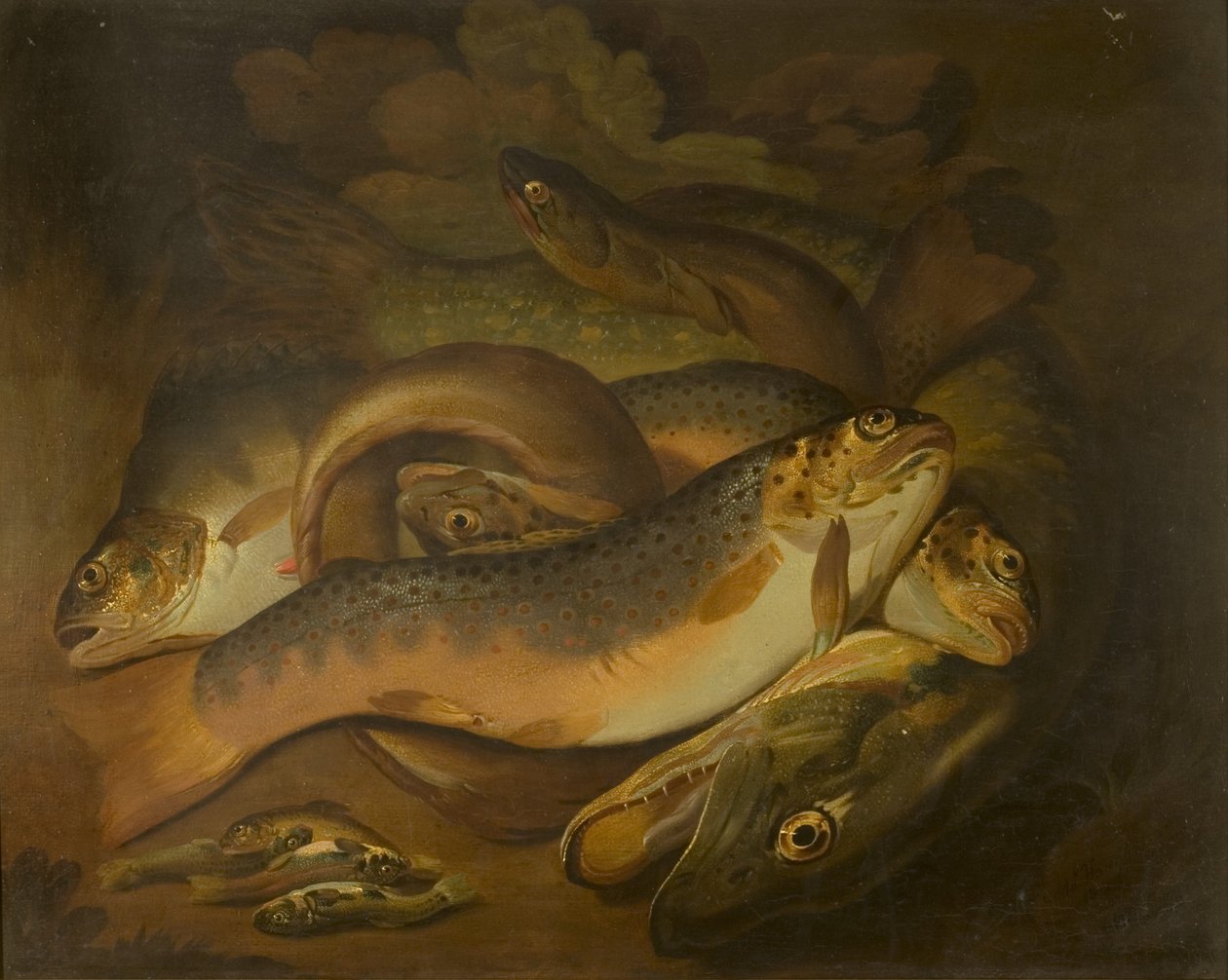 Halak alkotó: Moses Haughton