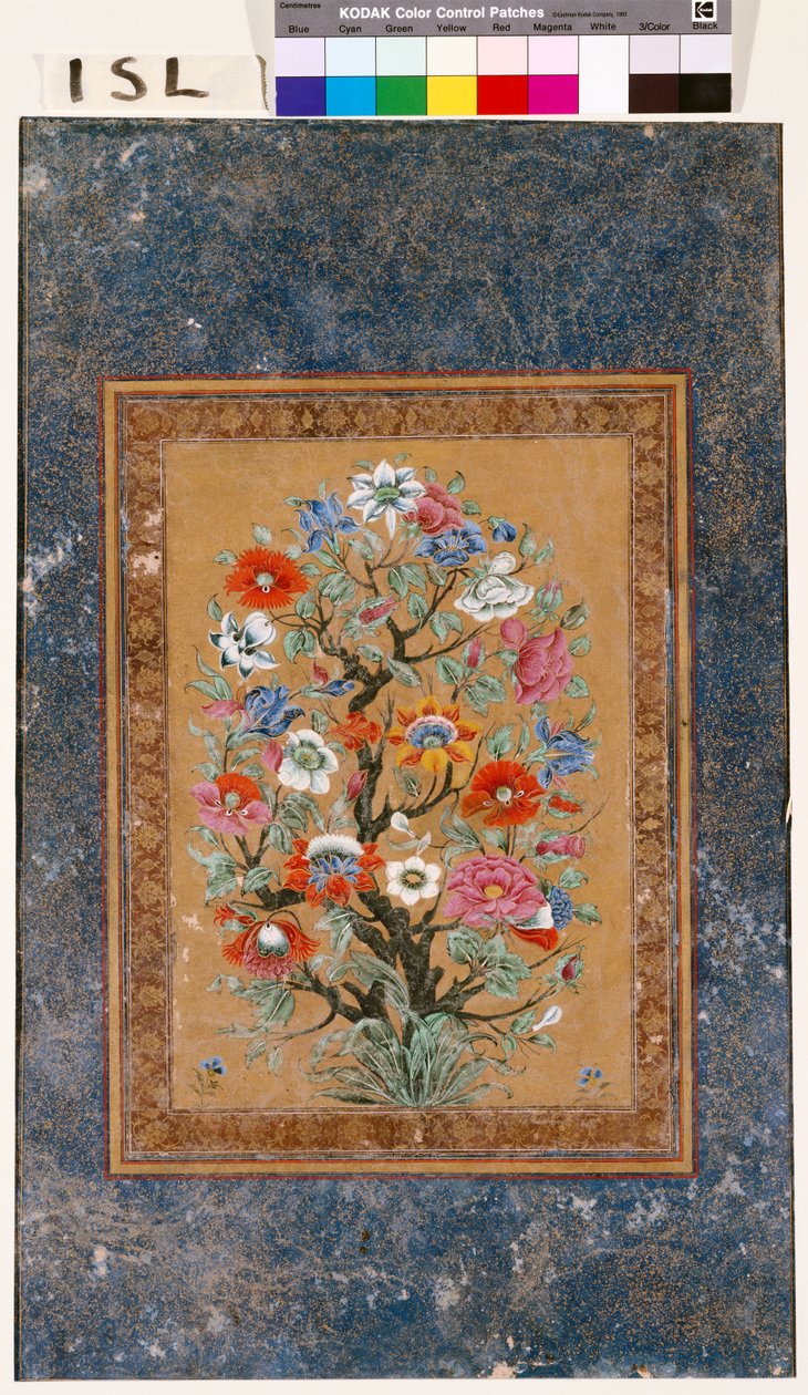 Mitikus növény alkotó: Mughal School