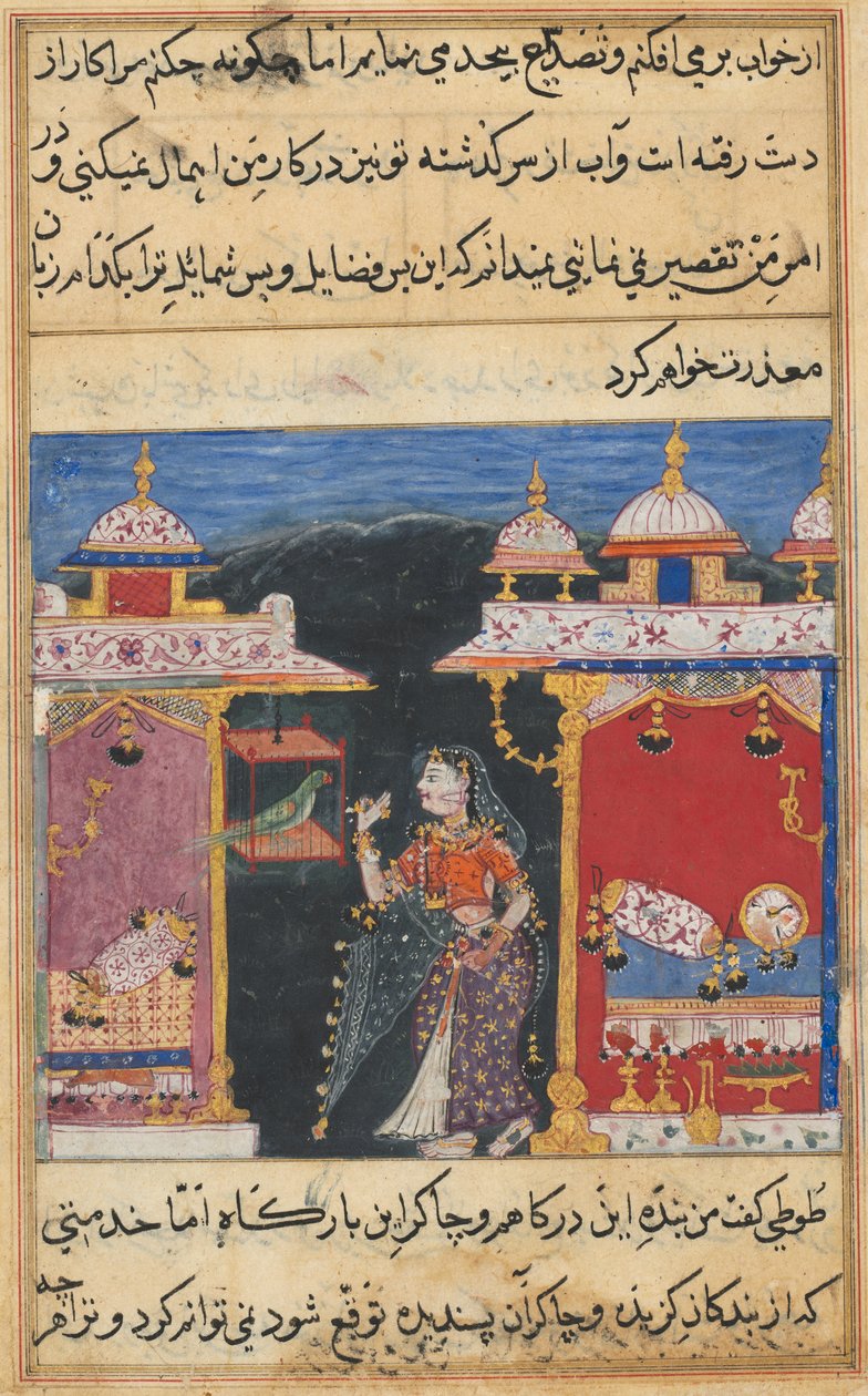 Oldal a Papagáj meséiből alkotó: Mughal School