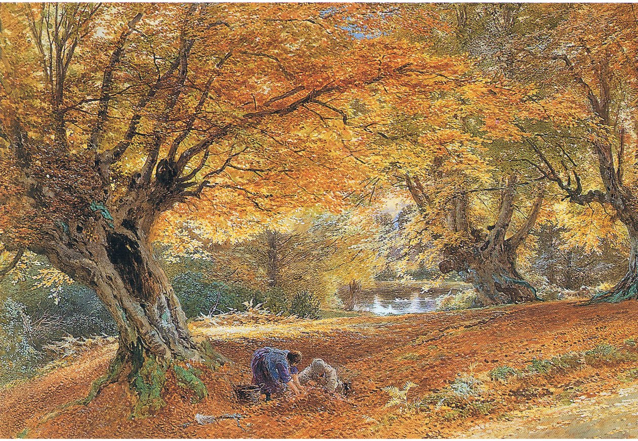 Burnham bükkfa alkotó: Myles Birket Foster