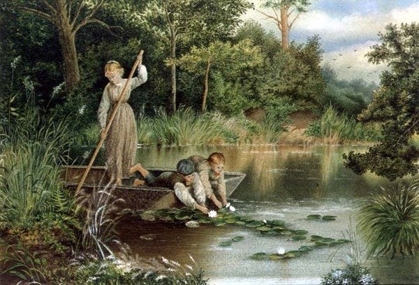 Liliomok gyűjtése alkotó: Myles Birket (after) Foster