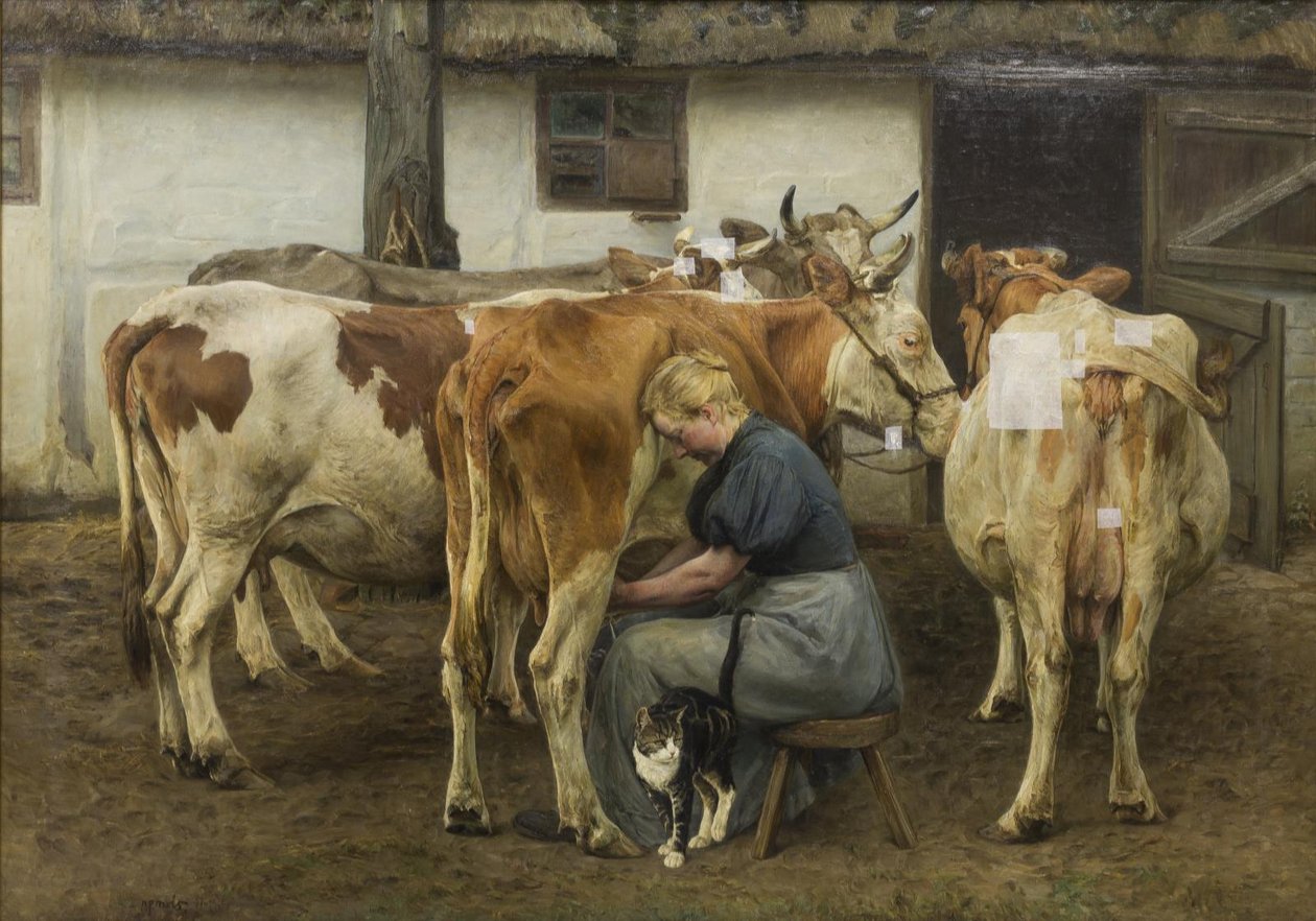 A tehenek fejése. Nyugat-Jylland alkotó: N.P. Mols