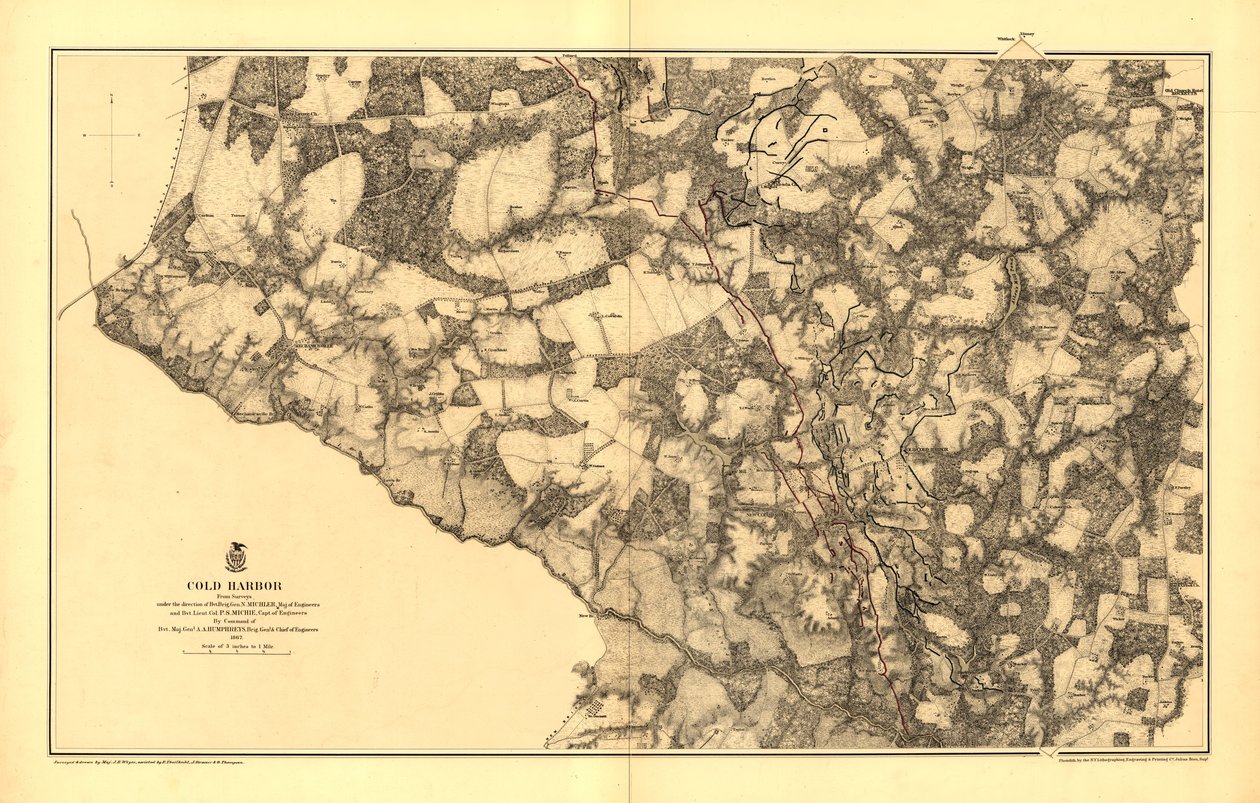 Cold Harbor. [1864. június 1-3] alkotó: N. Michler