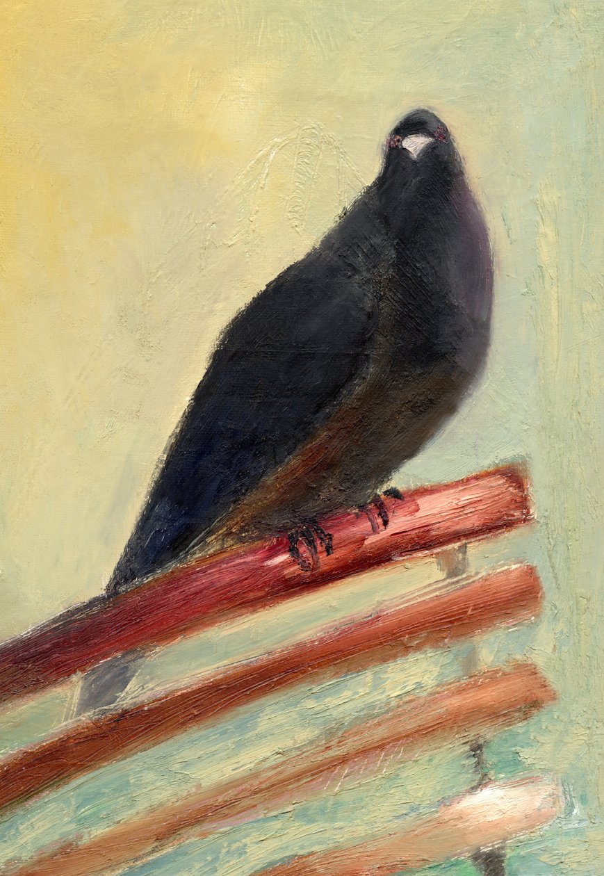 Királyi udvari galamb, 2013, alkotó: Nancy Moniz Charalambous