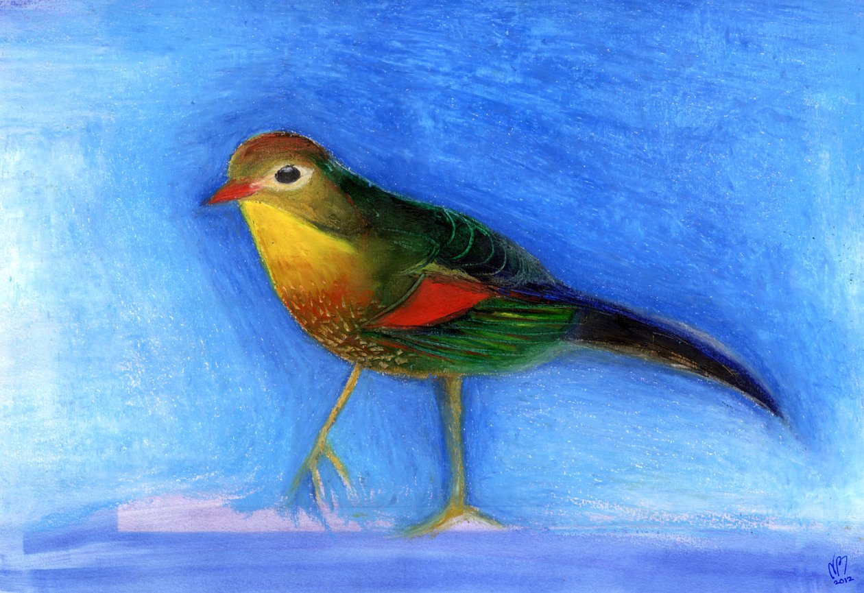 Nightingale Light, 2012, (olajpasztell, papíron) alkotó: Nancy Moniz Charalambous
